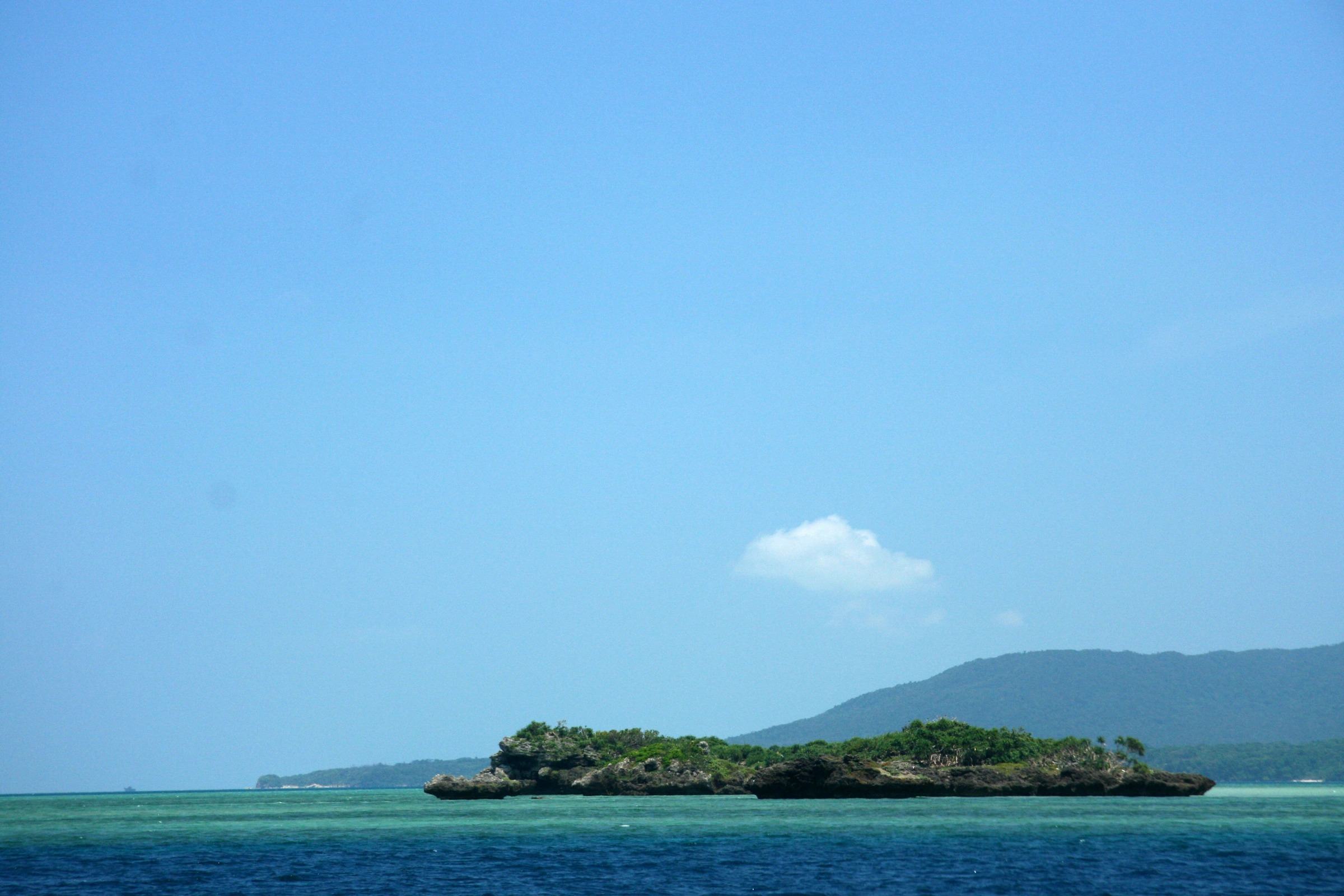 Iriomote_Island[1].webp